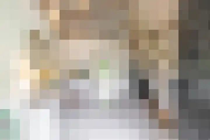 Briklaan 28 Leek thumbnail 8