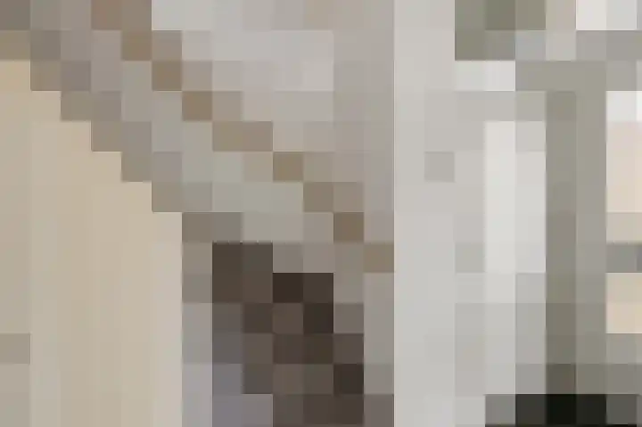 Brikstraat 33 Zaandam thumbnail 10