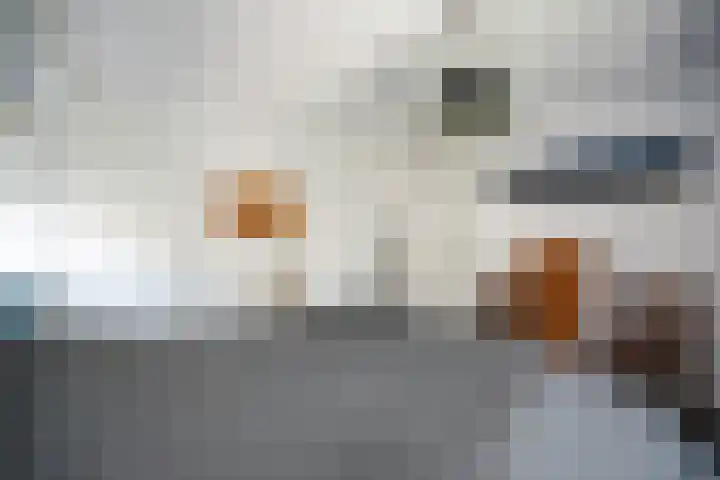 Brikzeil 36 Almere thumbnail 38