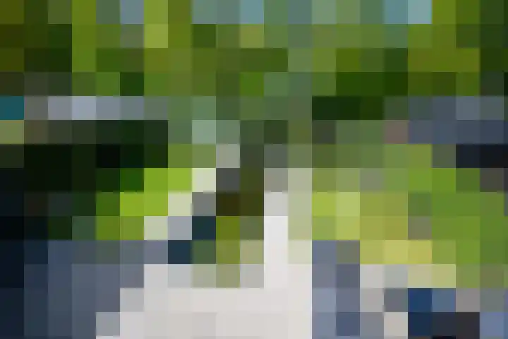 Brikzeil 36 Almere thumbnail 39