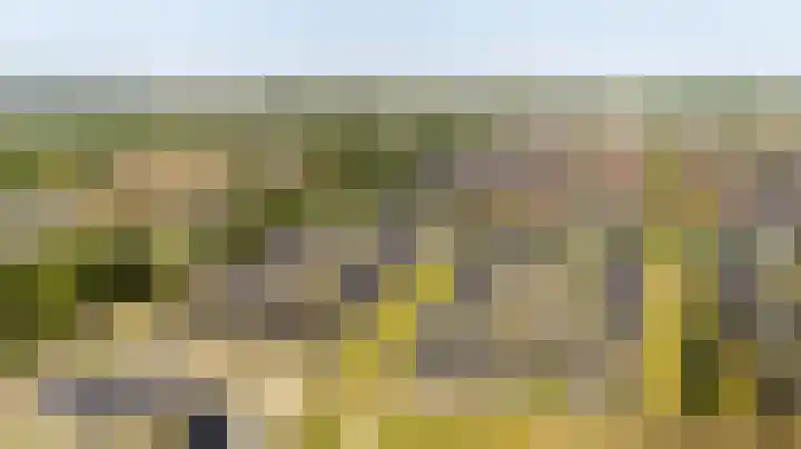 Brilduiker 16 Pijnacker thumbnail 29