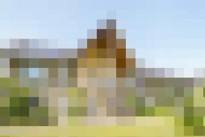 Brilduiker 16 Pijnacker thumbnail 32