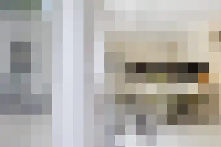 Briljant 7 Eindhoven thumbnail 17