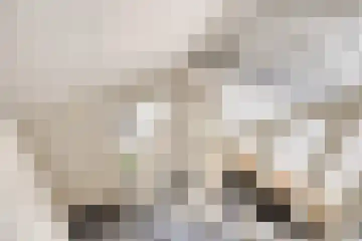 Briljant 7 Eindhoven thumbnail 28