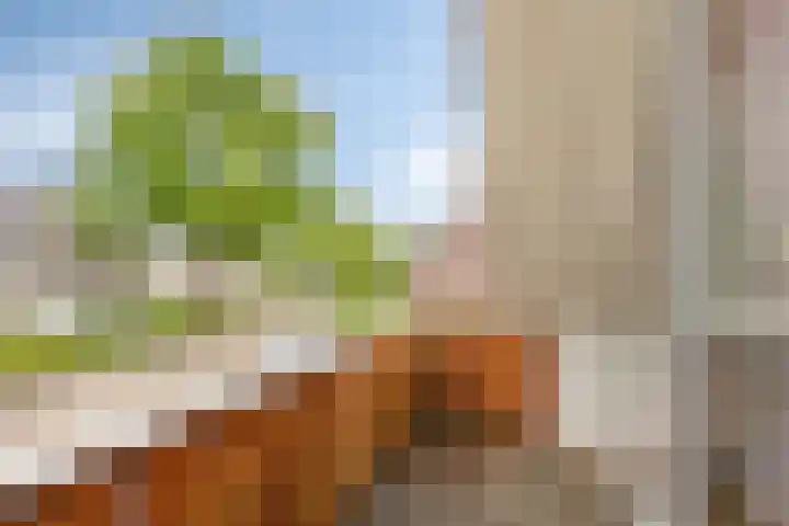 Briljant 7 Eindhoven thumbnail 31