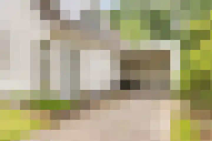 Briljant 7 Eindhoven thumbnail 4