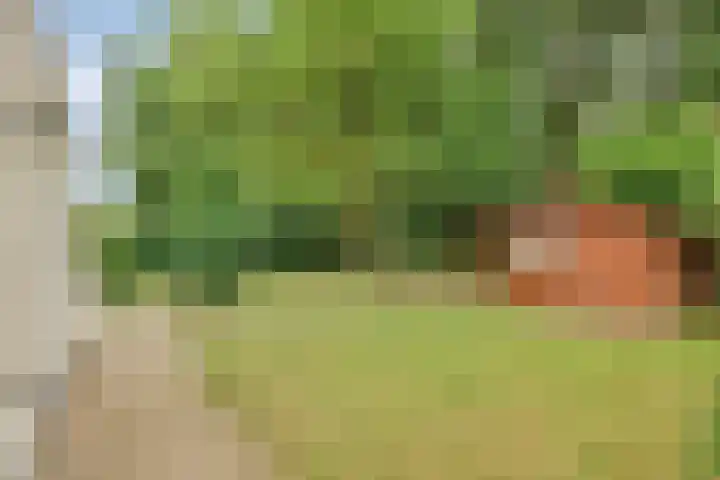 Briljant 7 Eindhoven thumbnail 40