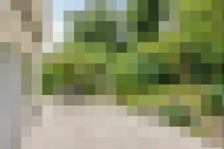 Briljant 7 Eindhoven thumbnail 46