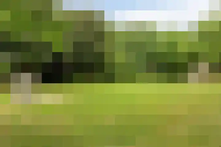 Briljant 7 Eindhoven thumbnail 51