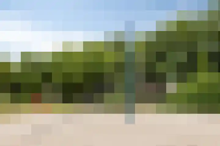 Briljant 7 Eindhoven thumbnail 52