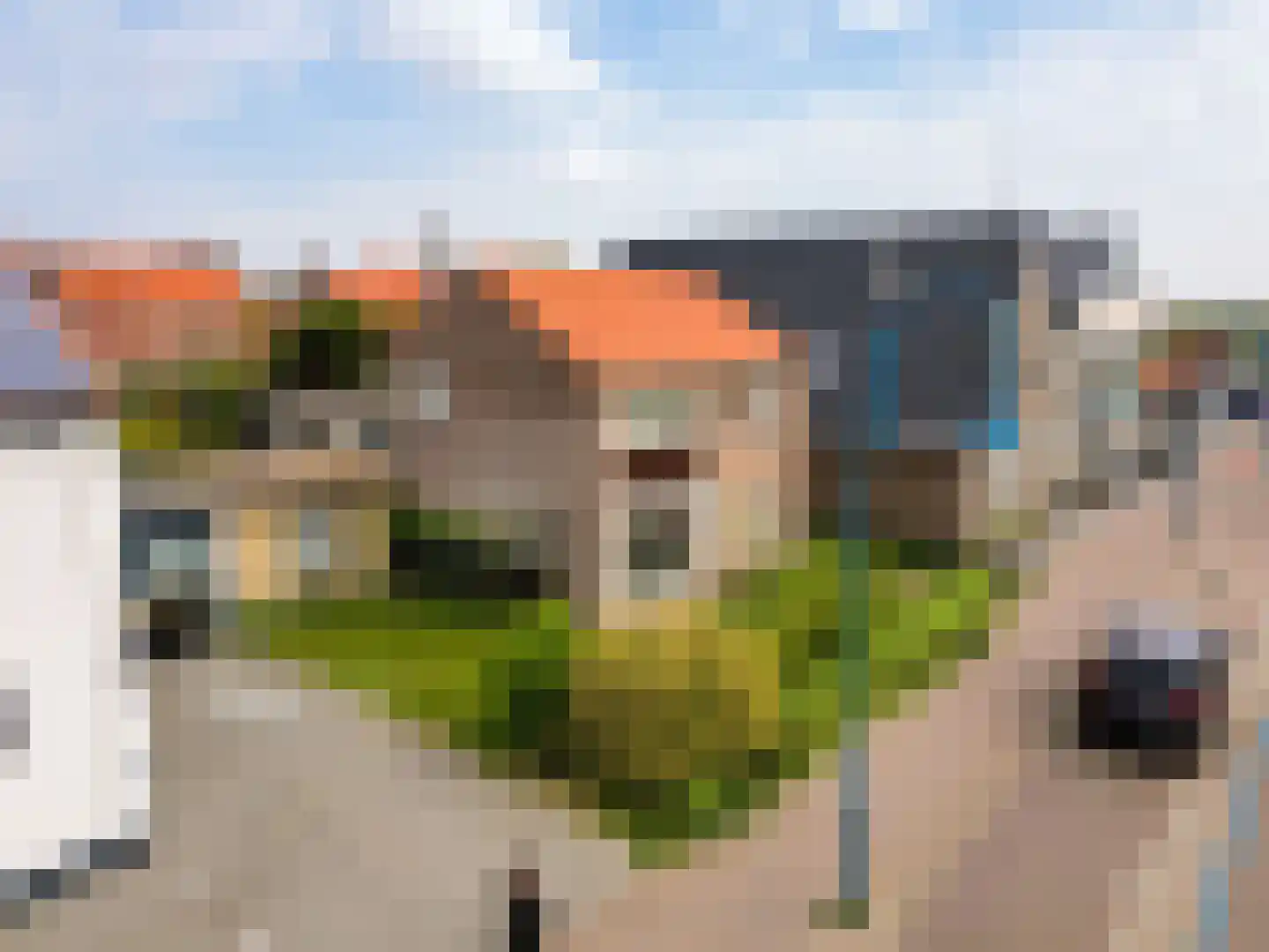 Brink 10 De Koog thumbnail 10