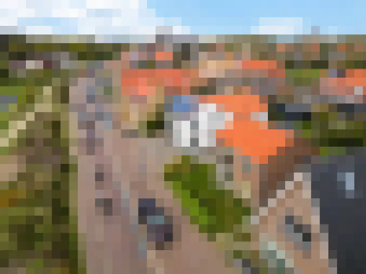 Brink 10 De Koog thumbnail 5