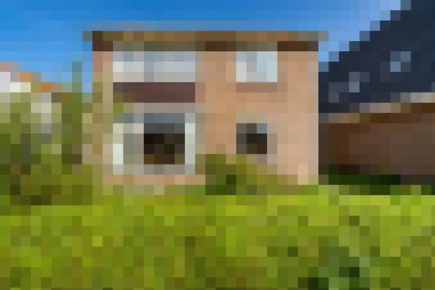Brink 10 De Koog thumbnail 7
