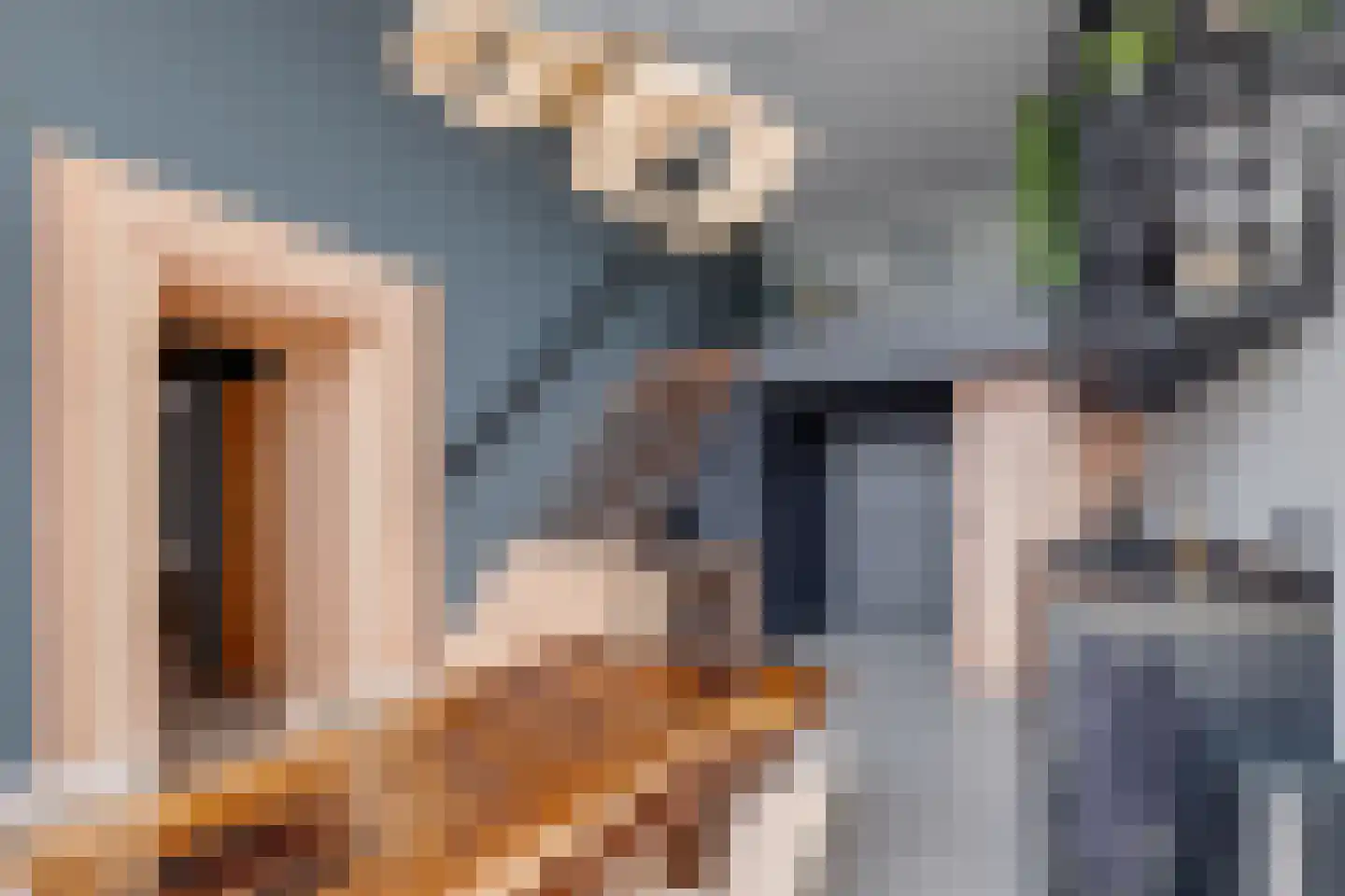Brink 13 L Deventer thumbnail 13