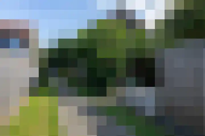 Brink 16 Scheerwolde thumbnail 40