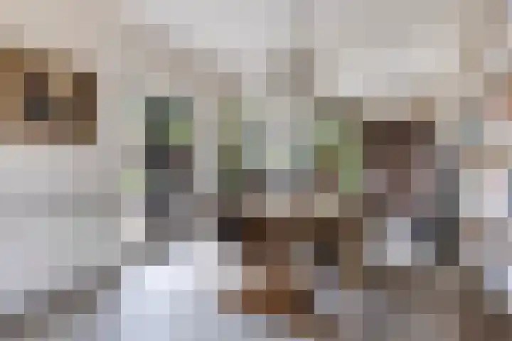 Brink 2 Makkinga thumbnail 11