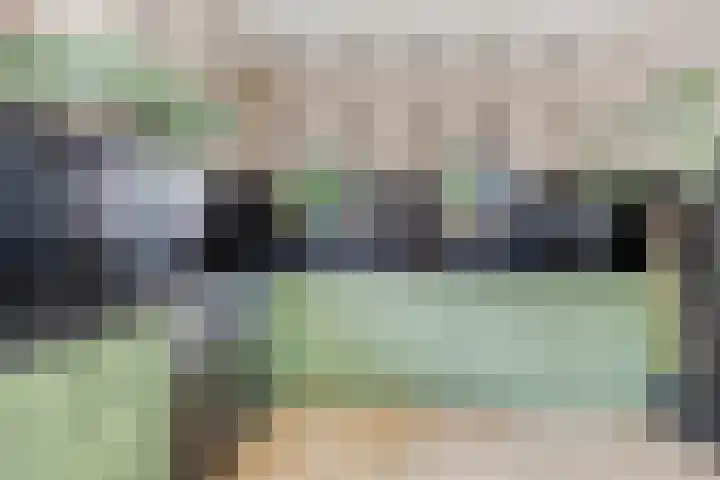Brink 2 Makkinga thumbnail 15