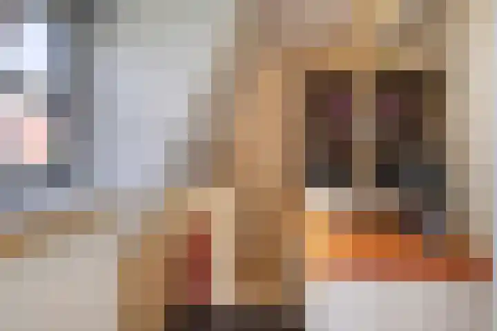 Brink 2 Makkinga thumbnail 23