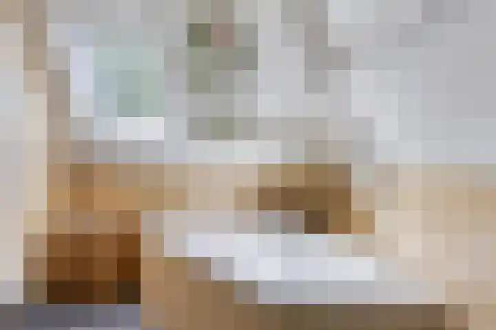 Brink 2 Makkinga thumbnail 25