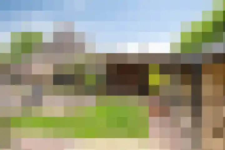 Brink 2 Makkinga thumbnail 31