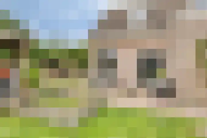 Brink 2 Makkinga thumbnail 32