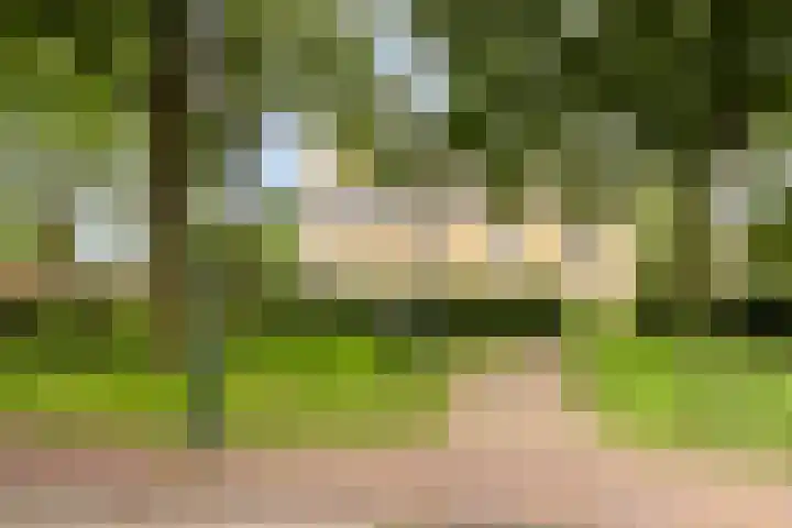 Brink 2 Makkinga thumbnail 37