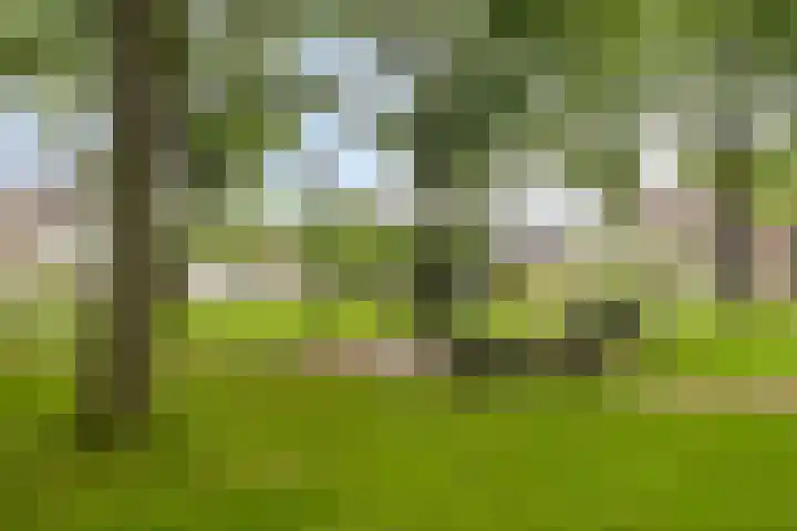 Brink 2 Makkinga thumbnail 38