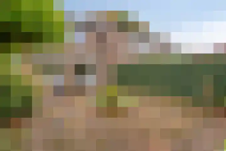 Brink 20 Veendam thumbnail 36