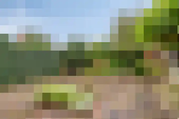 Brink 20 Veendam thumbnail 39