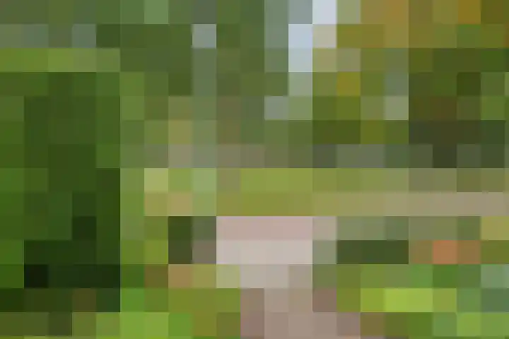 Brink 20 Veendam thumbnail 5