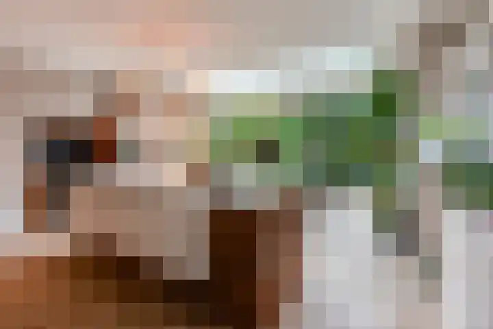 Brink 22 Baarn thumbnail 16