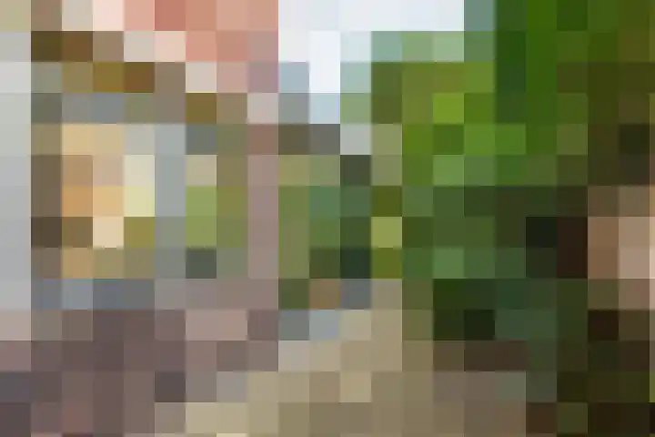 Brink 22 Baarn thumbnail 20