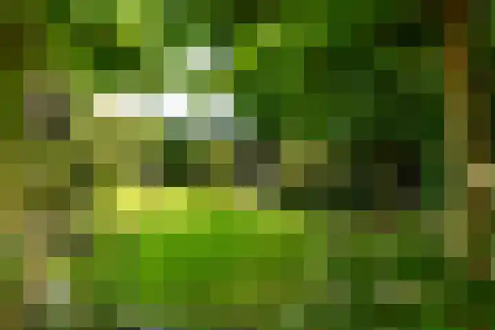 Brink 22 Baarn thumbnail 21