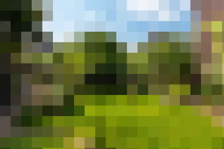 Brink 22 Baarn thumbnail 22