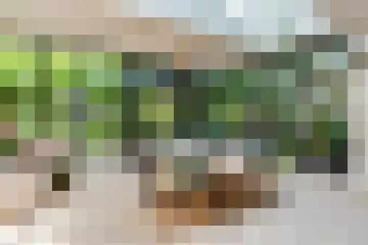 Brink 22 Baarn thumbnail 4