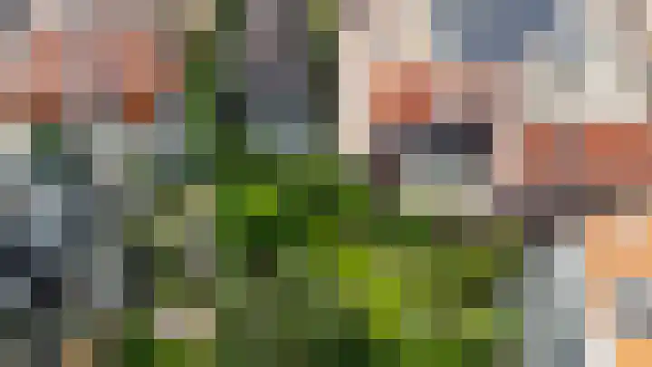 Brink 22 Baarn thumbnail 46