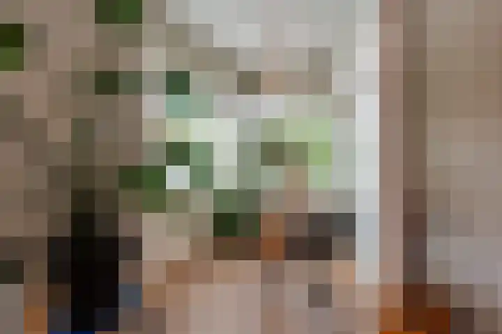 Brink 22 Baarn thumbnail 6