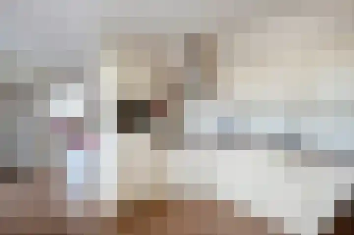 Brink 32 Beilen thumbnail 18