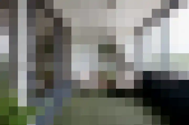 Brink 32 Beilen thumbnail 21