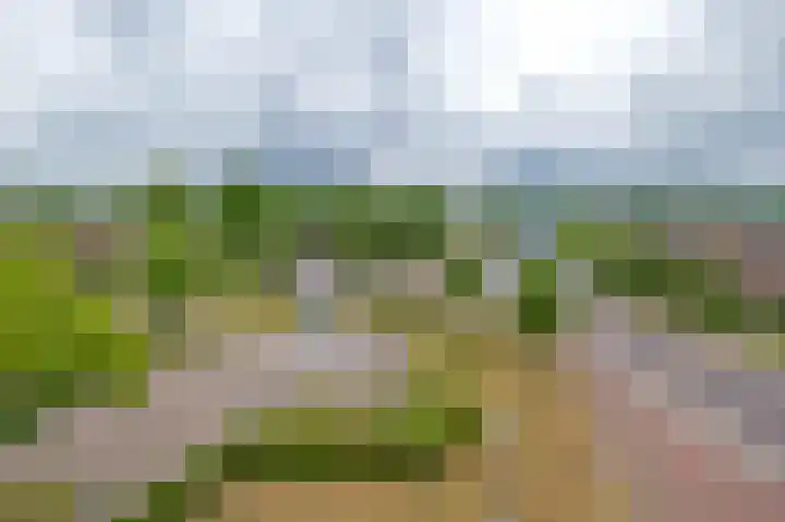Brink 32 Beilen thumbnail 33