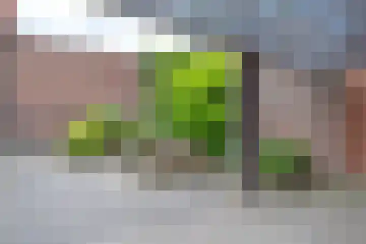 Brink 32 Beilen thumbnail 37