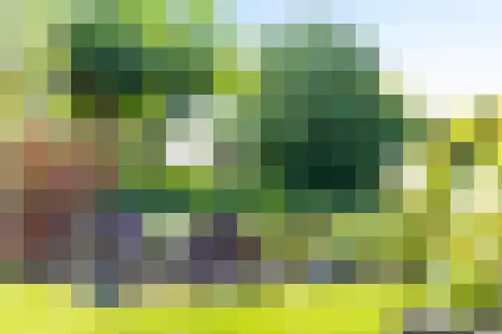Brink 32 Beilen thumbnail 38