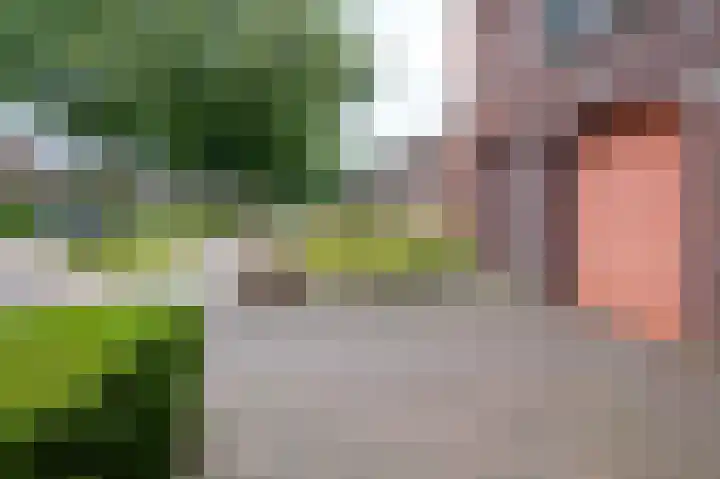 Brink 32 Beilen thumbnail 39