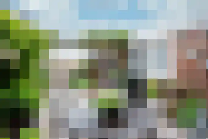 Brink 32 Beilen thumbnail 49