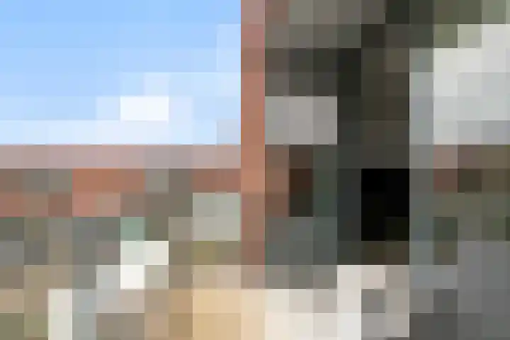 Brink 43 Huissen thumbnail 12