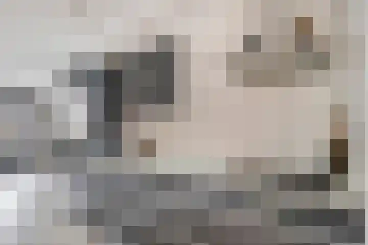 Brink 43 Huissen thumbnail 15