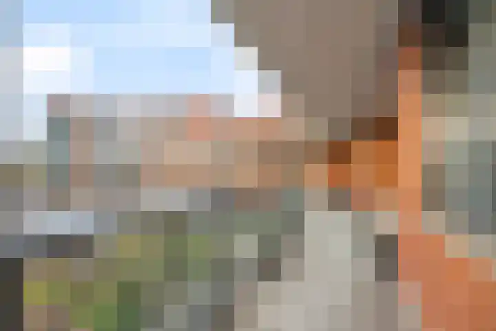 Brink 43 Huissen thumbnail 24