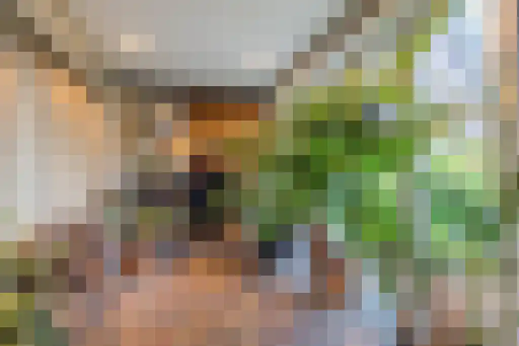 Brink 43 Ruinen thumbnail 11