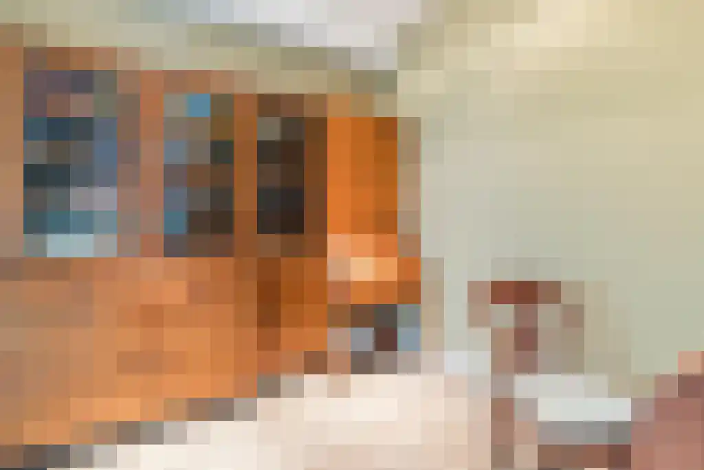 Brink 43 Ruinen thumbnail 26