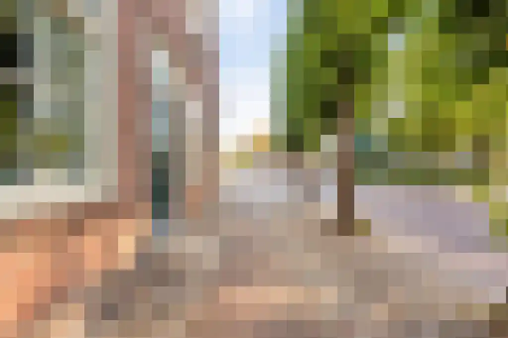Brink 43 Ruinen thumbnail 5